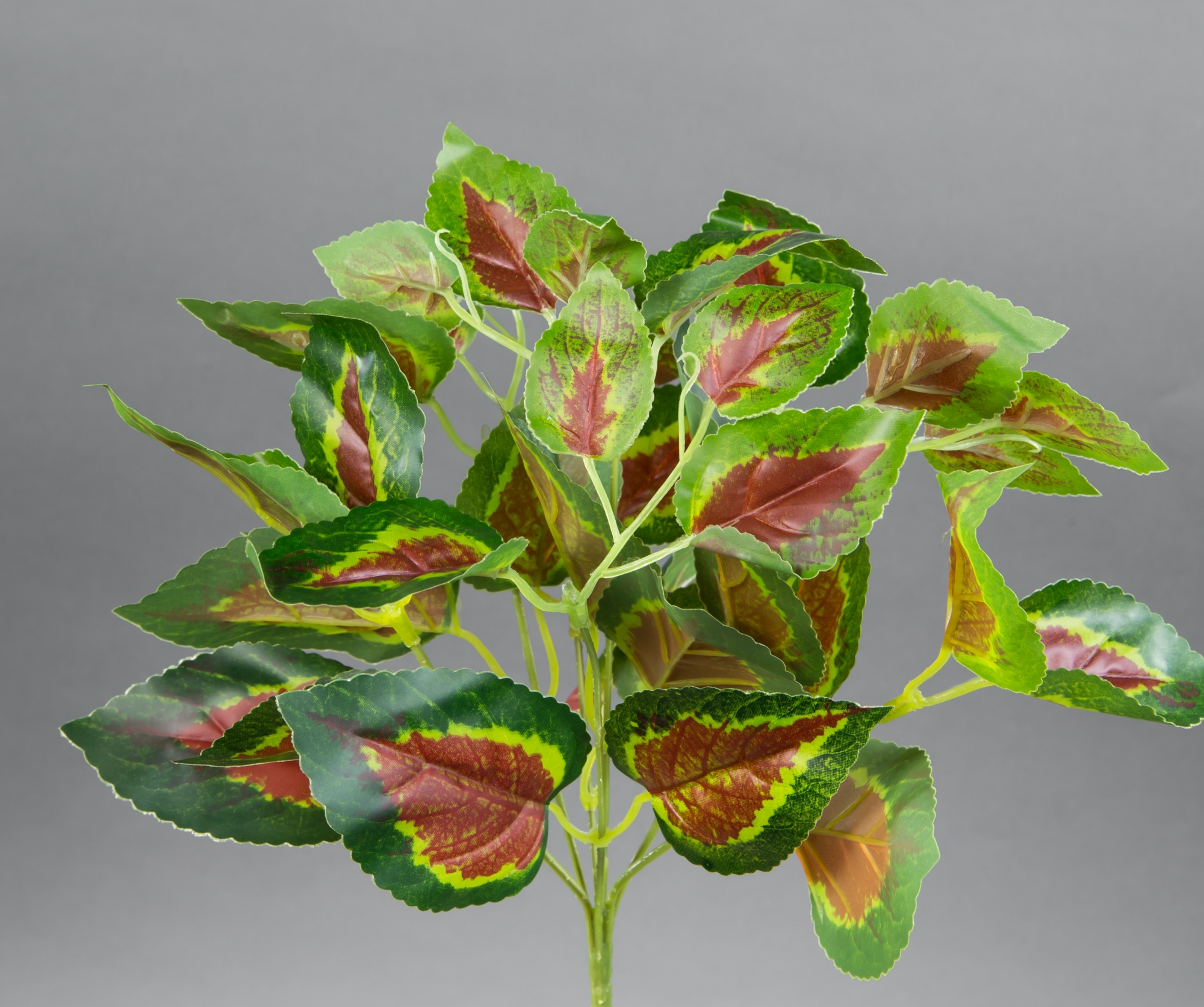 Buntnessel 25cm grün-rot ZF Kunstpflanzen künstliche Pflanzen Nessel