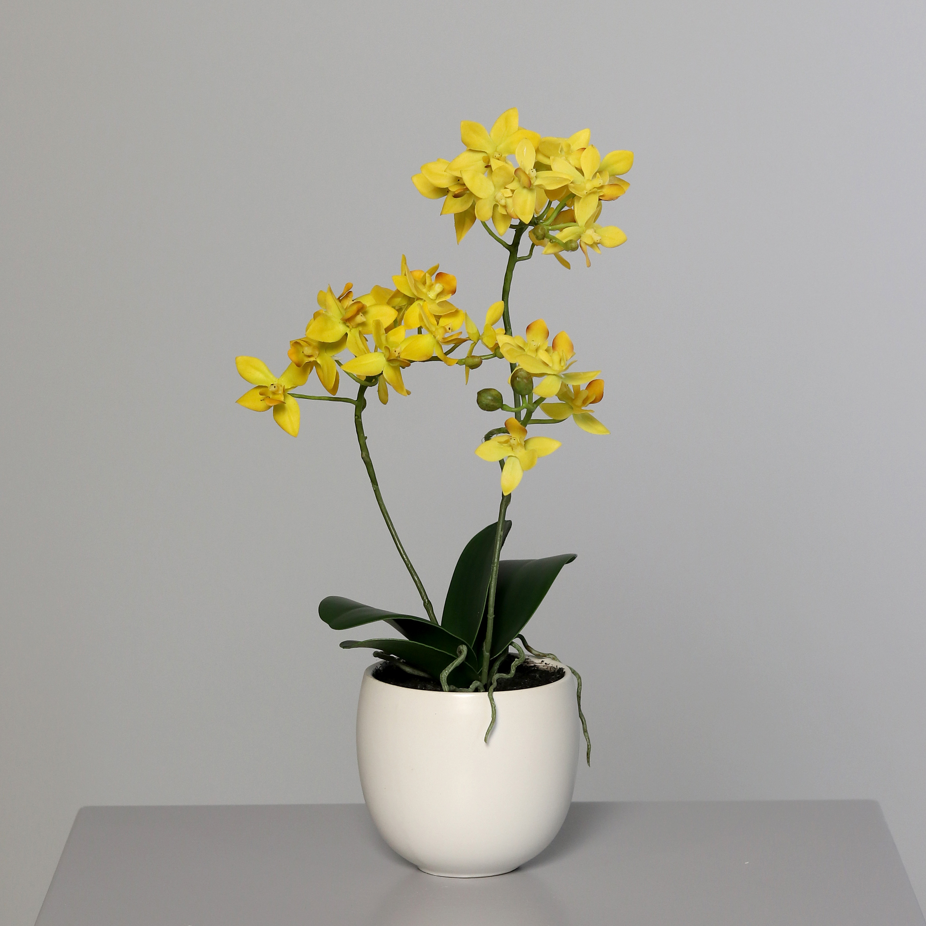 Orchidee mit 2 Rispen 38cm gelb im Keramiktopf DP künstliche Blumen Kunstpflanzen Kunstblumen