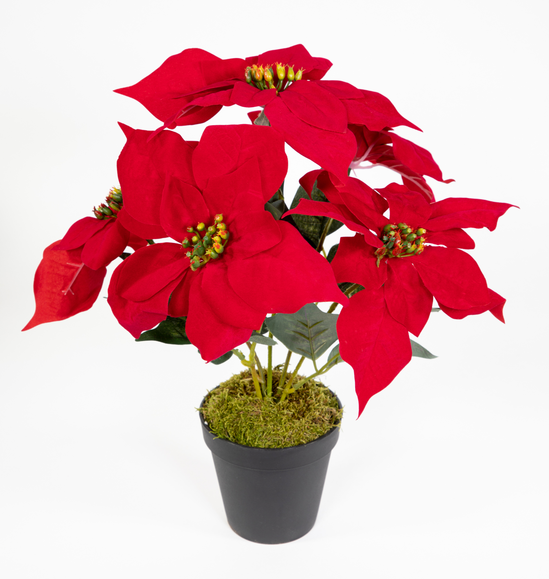 Weihnachtsstern 36cm rot im schwarzen Topf JA künstliche Blume Kunstpflanze Kunstblumen Poinsettie