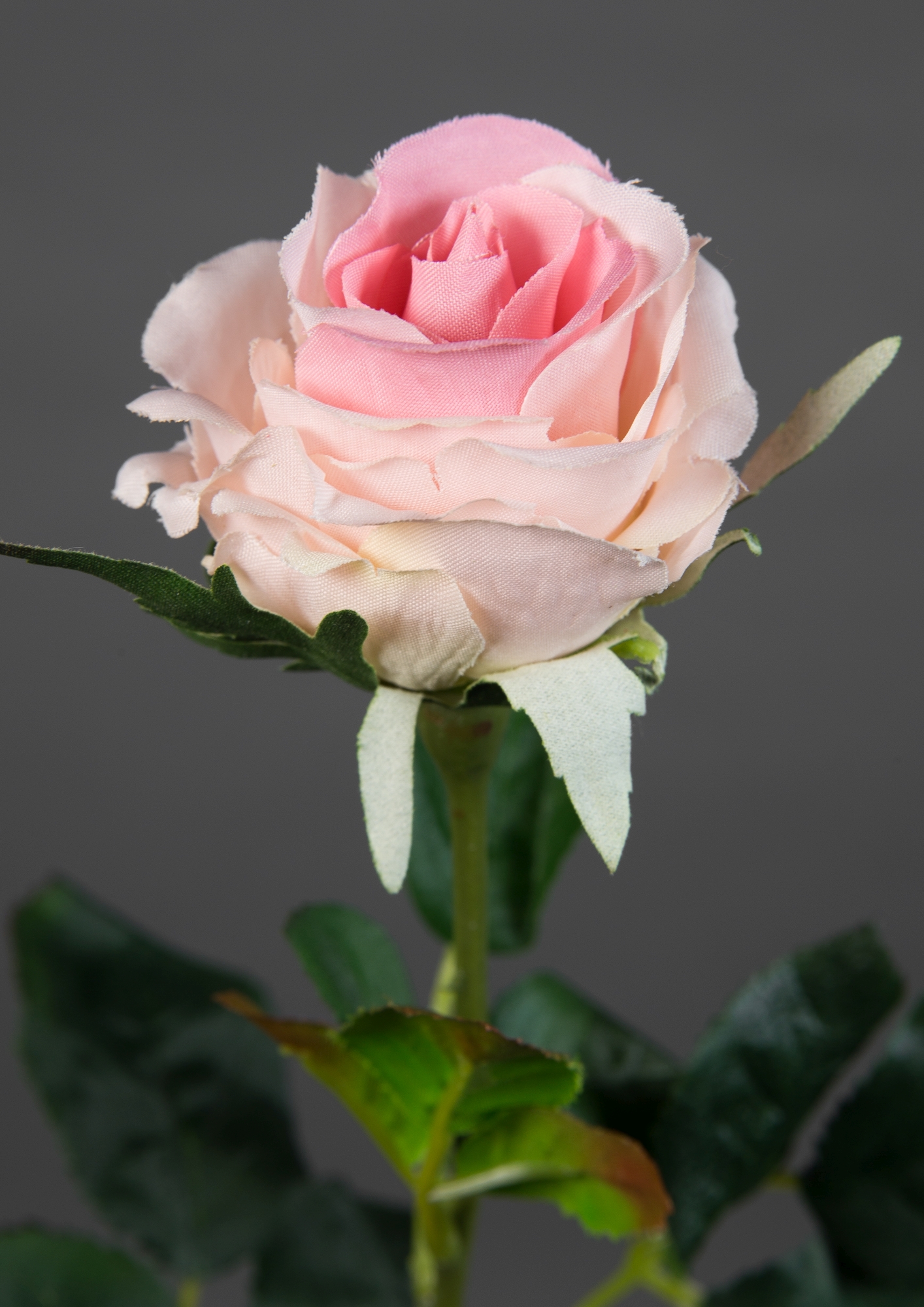 Rose Kunstblumen Stück Elena 45cm rosa Rosen PM Blumen 12 künstliche Seidenblumen