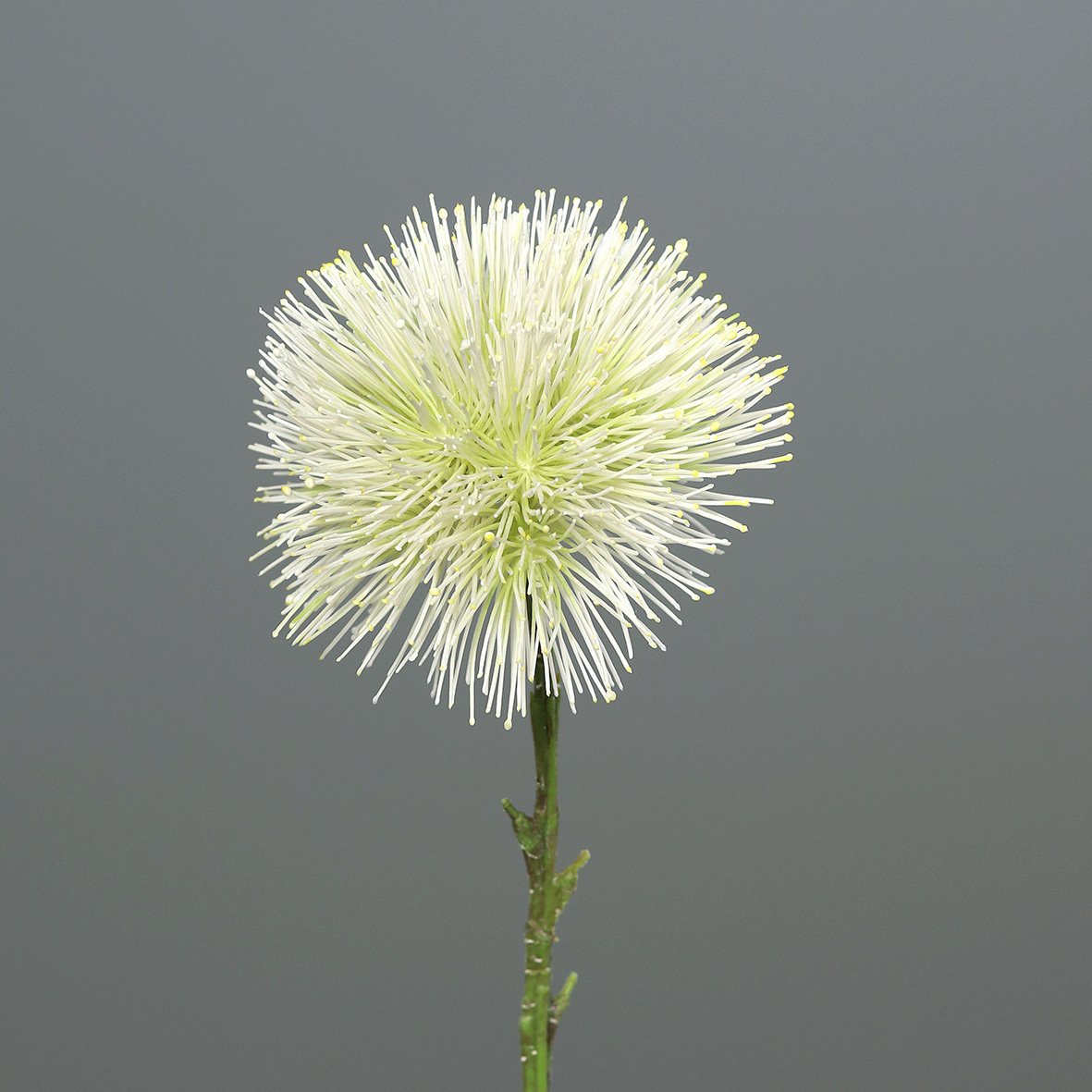 Kugeldistel 48cm grün-weiß DP Kunstblumen künstliche Blumen künstliche Distel