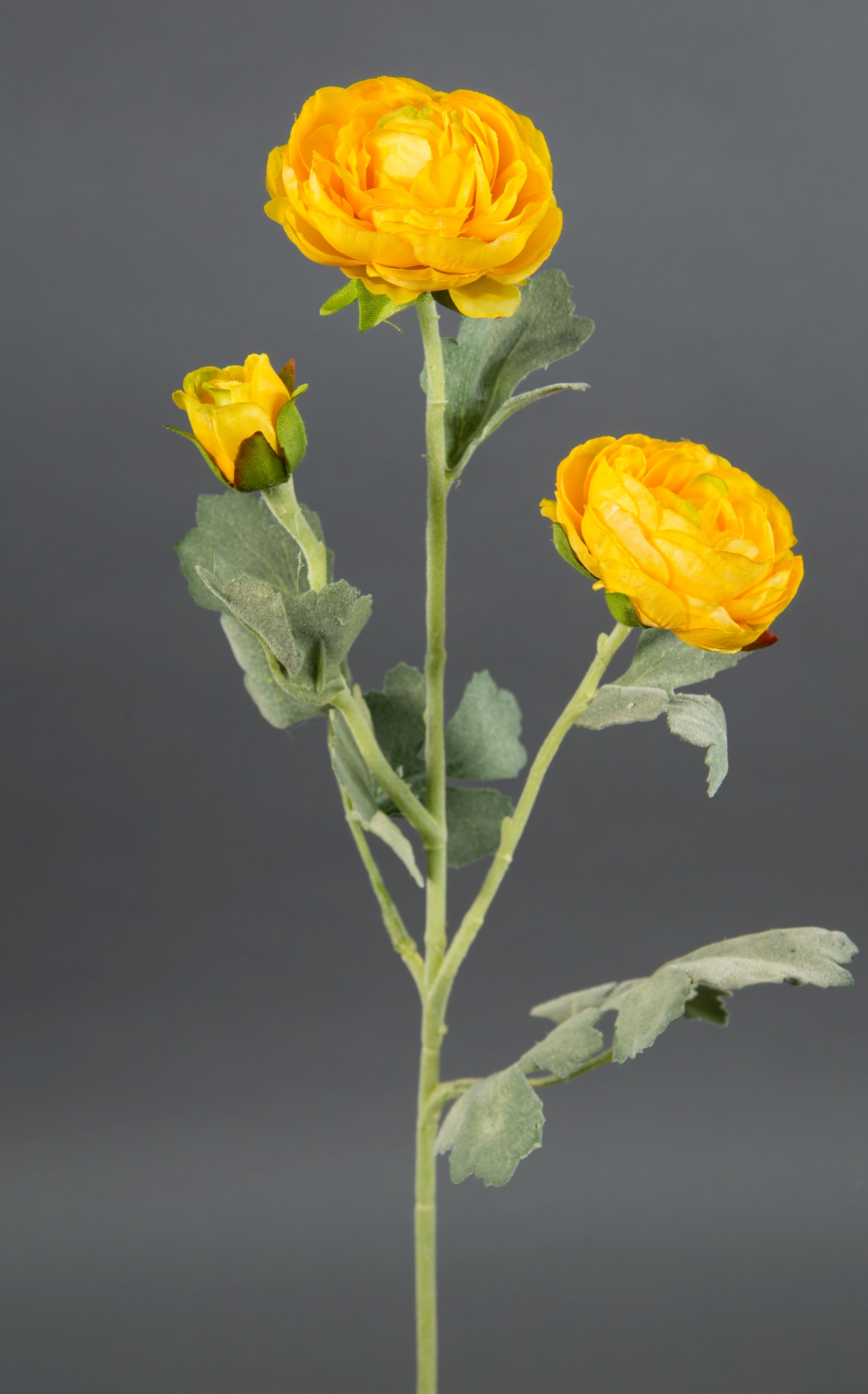 Ranunkelzweig 54cm gelb CG Kunstblumen künstliche Blumen Ranunkel