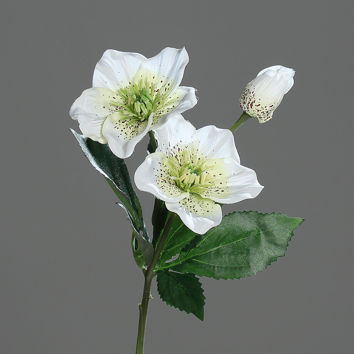 Christrose 34cm creme-weiß DP Kunstblumen künstliche Blumen Christrosenzweig Helleborus