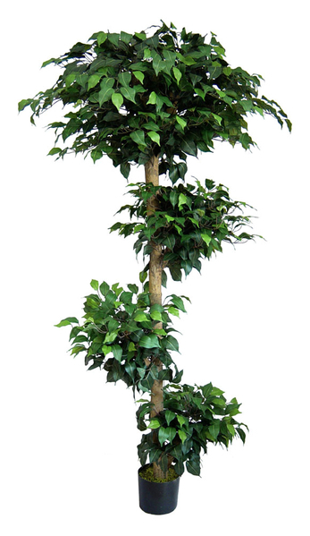 Tropical Ficus 180cm grün DA Kunstbaum künstlicher Baum Pflanze Dekobaum