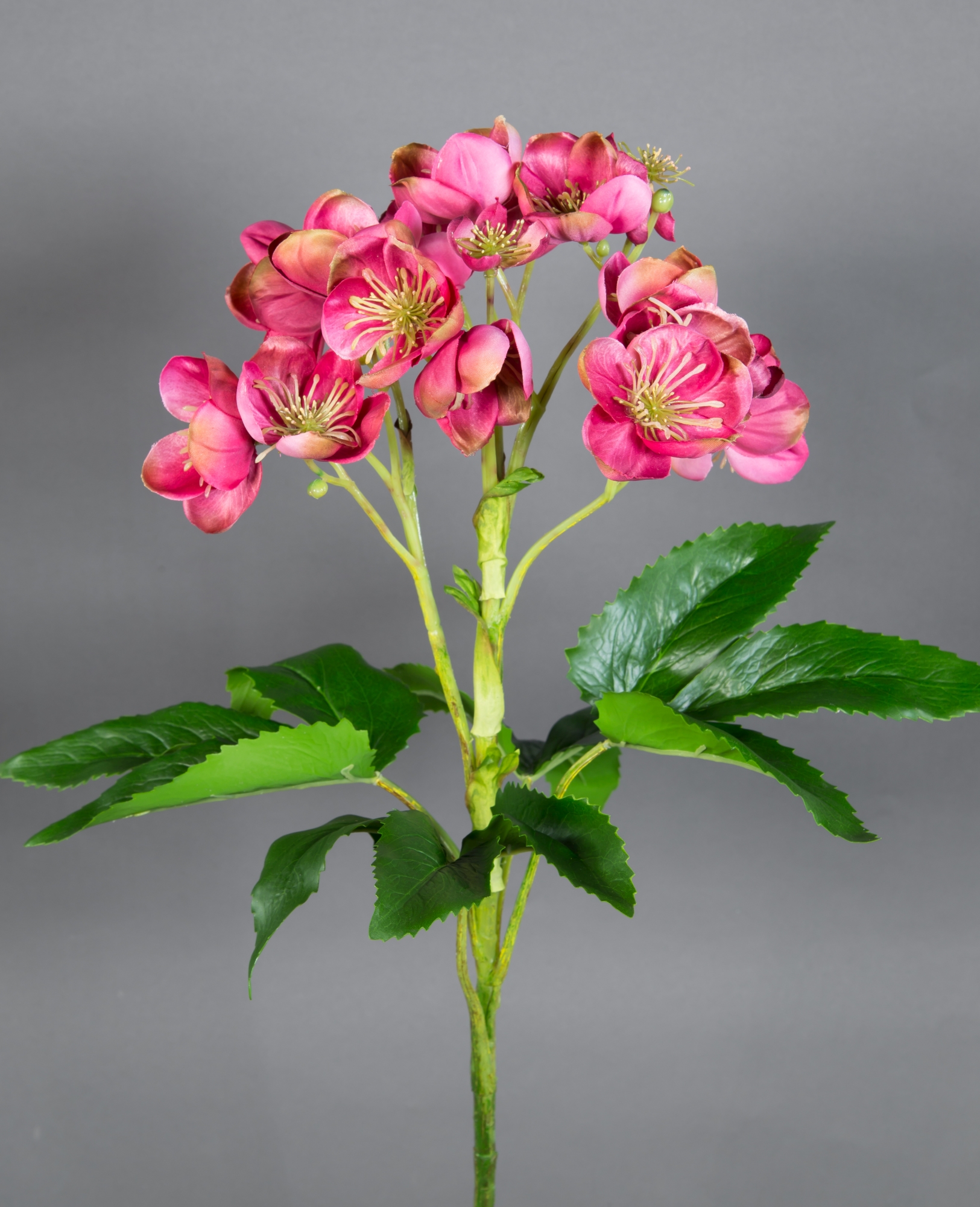 Christrose Natural 58x45cm pink-rosa GA Kunstblumen künstliche Blumen Pflanzen Helleborus Christrose