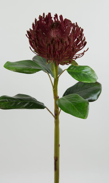 Deluxe Blumen 62cm bordeaux Protea Kunstblumen künstliche Seidenblumen DP