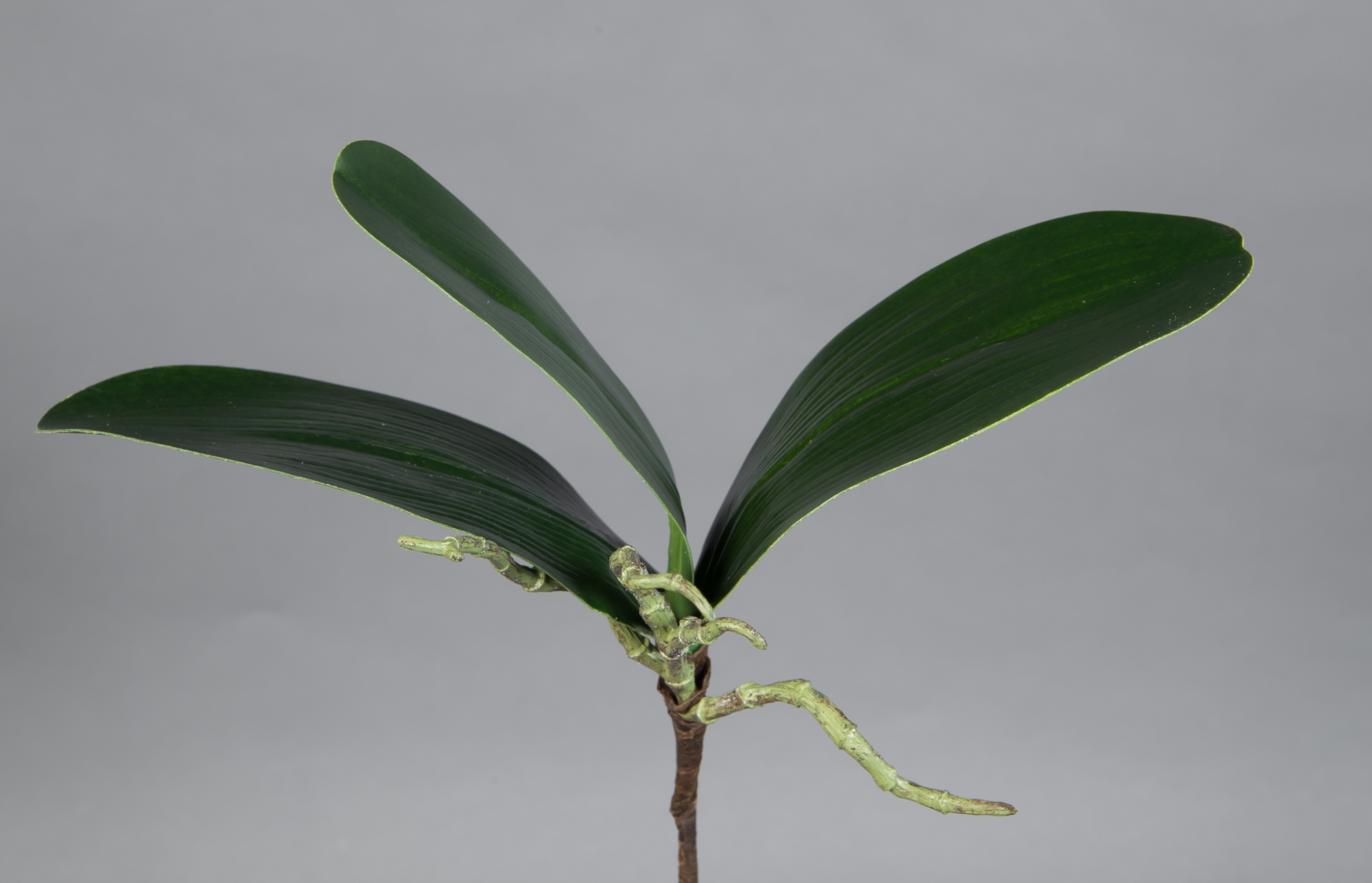 Orchideen-Blattbasis / Orchideenblätter 28x25cm JA künstliche Orchidee Pflanzen Blumen Kunstpflanzen