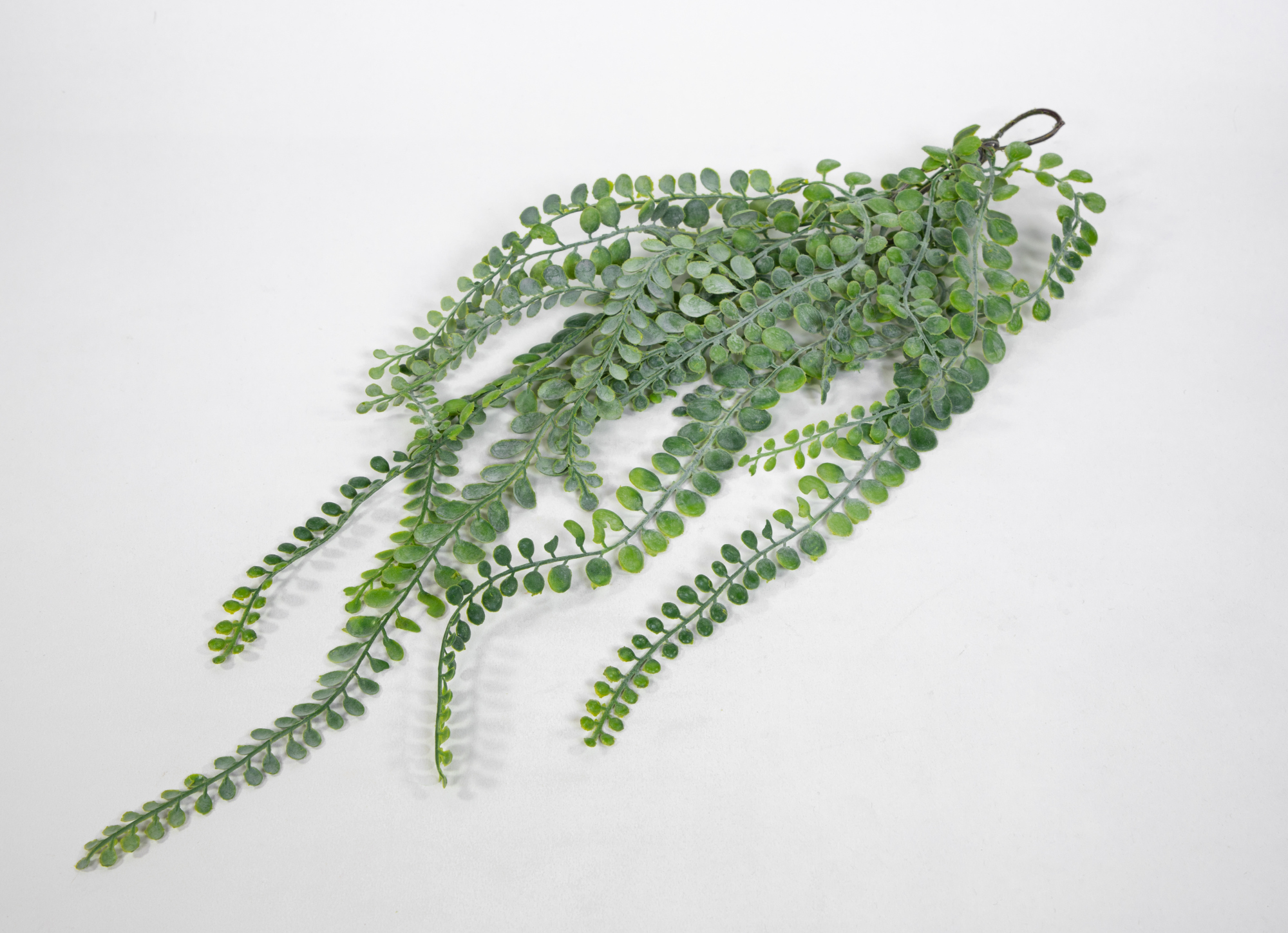 Sukkulentenhänger Rundblatt 60cm DP Kunstpflanzen künstliche Pflanzen Ranken