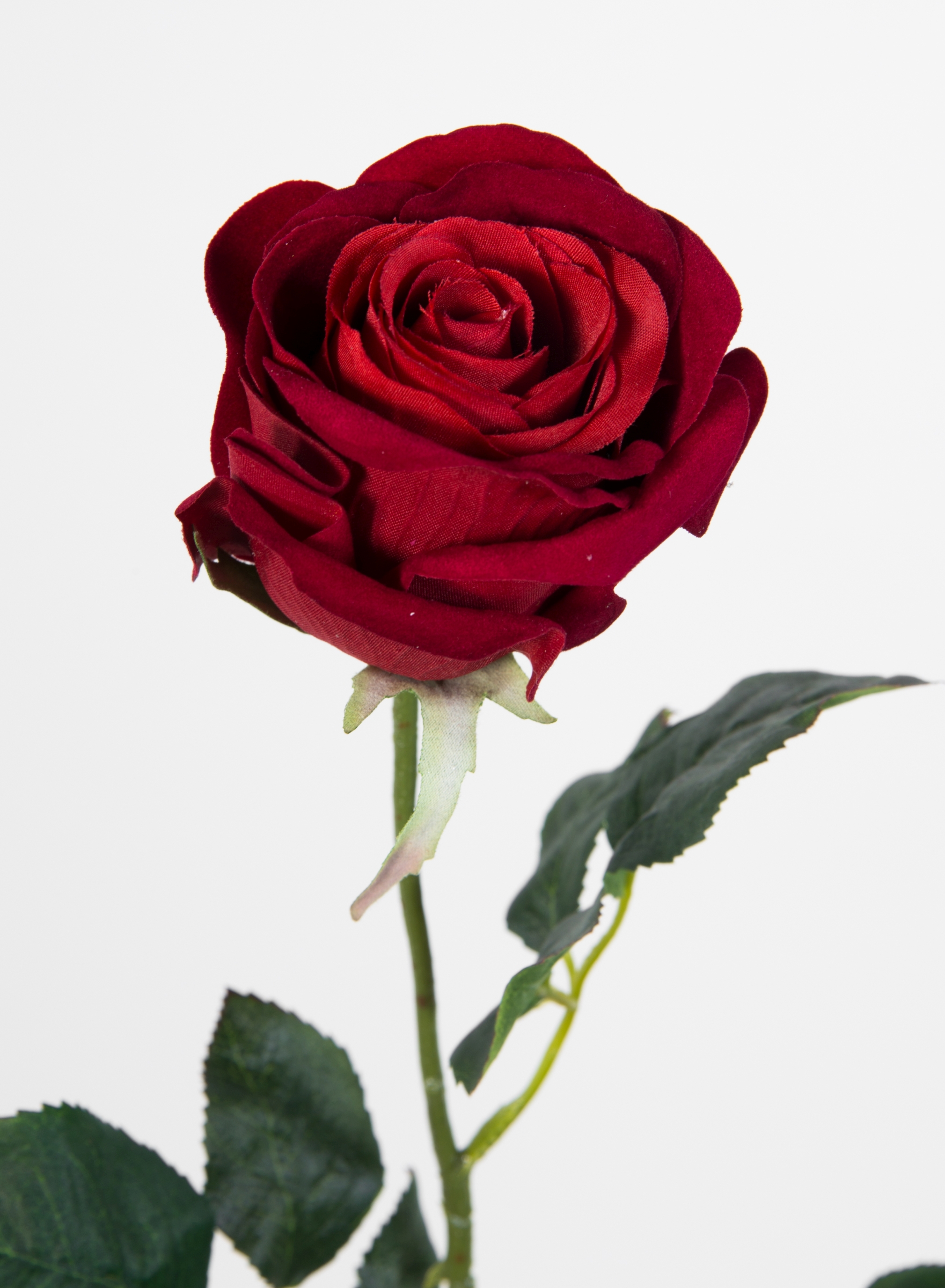 12 Stück Baccararose 68cm rot PM Kunstblumen künstliche Rose Rosen Blumen  Seidenblumen