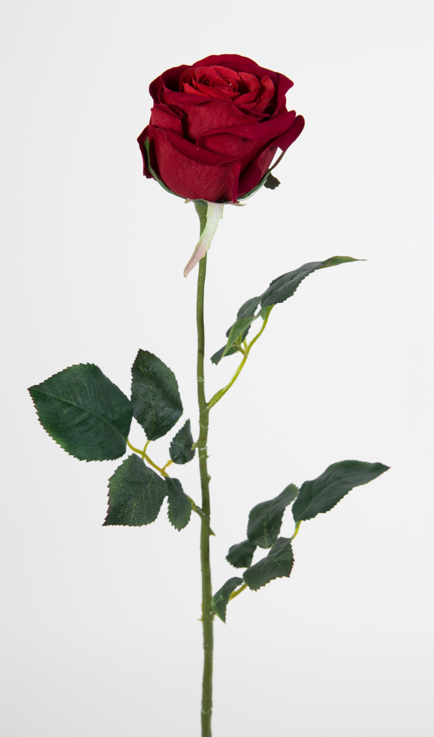 12 Stück Baccararose 68cm rot PM Kunstblumen künstliche Rose Rosen Blumen Seidenblumen